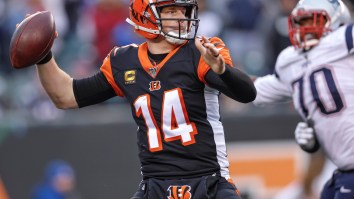 The Bengals Released QB Andy Dalton And Everyone Made The Same Joke About Bill Belichick Wanting To Sign Him To The Patriots