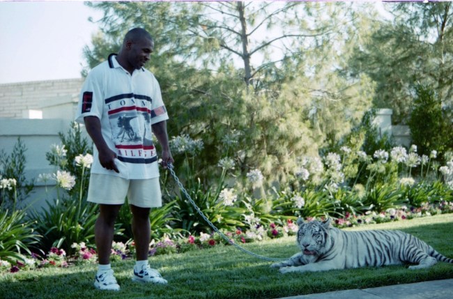 Mike Tyson talks about 'Tiger King' and owning white tigers, how dangerous they are, and he was foolish to own big cats.