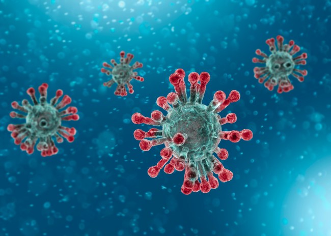 coronavirus mutations more contagious vaccine development