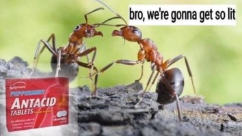 50 Of The Best Damn Photos On The Internet Today