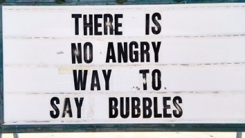 50 Of The Best Damn Photos On The Internet Today