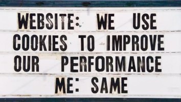 50 Of The Best Damn Photos On The Internet Today