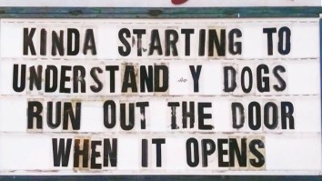 50 Of The Best Damn Photos On The Internet Today