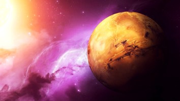 ‘Thousands Of Mushrooms’ And An ‘Alien Life Form’ Spotted On Mars In NASA Rover Pics