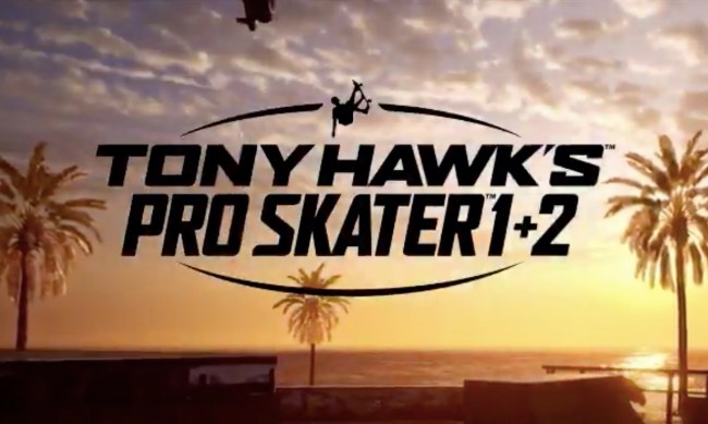 tony hawk