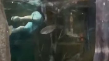 Louisiana Man Arrested For Swimming In Bass Pro Shop Aquarium And The Video Is Highly Entertaining