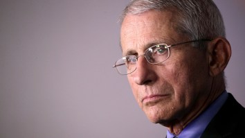 Dr. Anthony Fauci On When Things Will Get Back To Normal: ‘I Don’t Think It’s This Winter Or Fall’