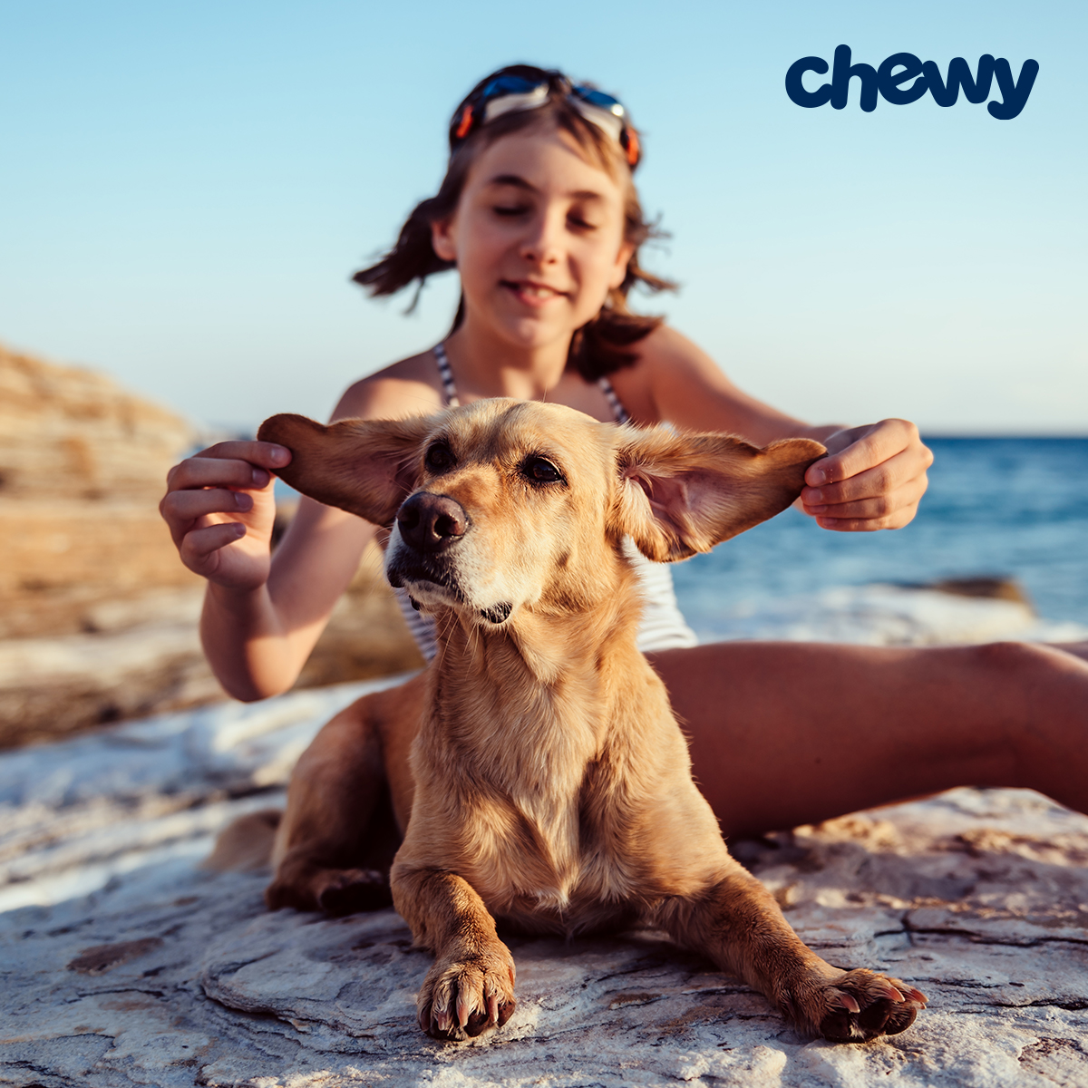 chewy summer sale