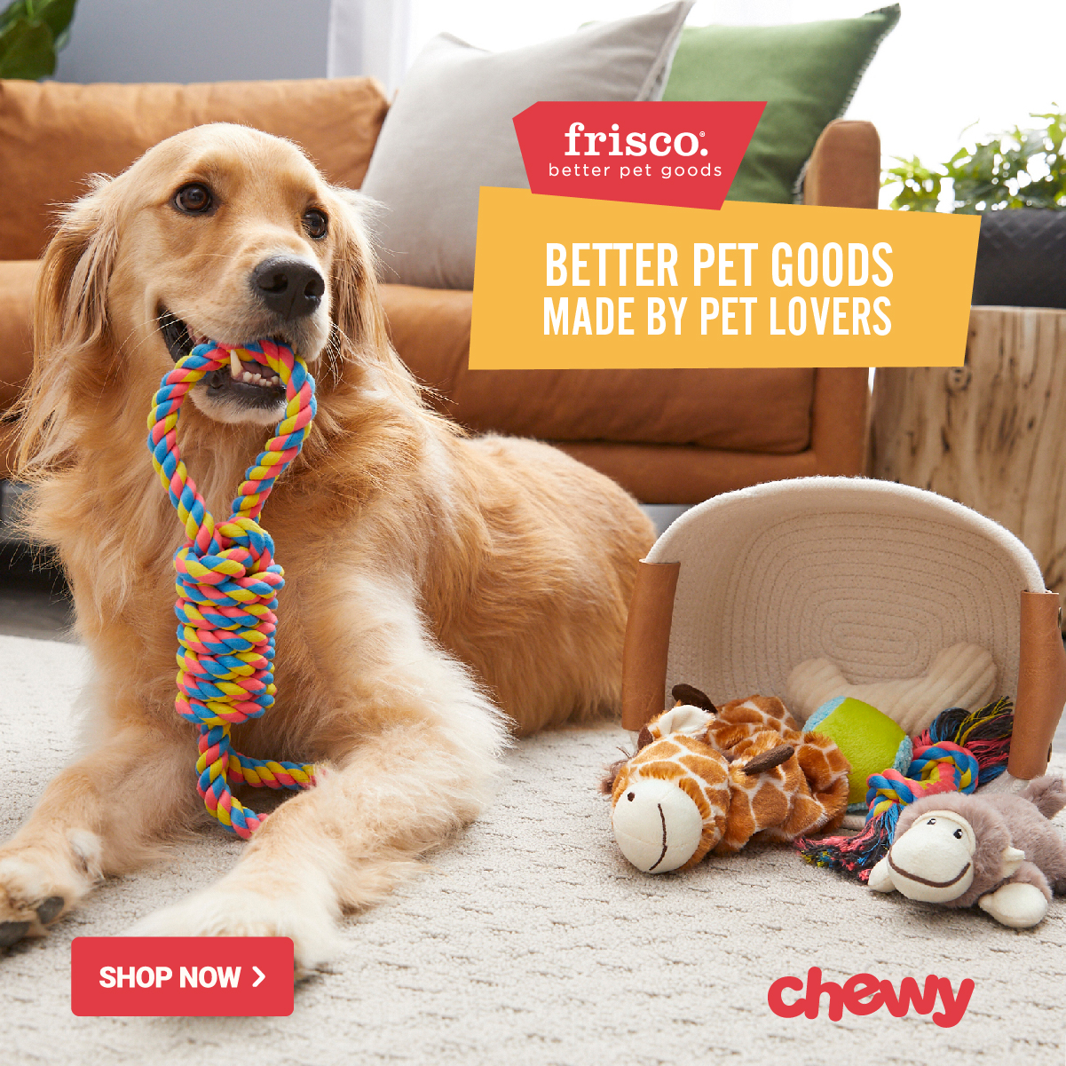 Shop For Frisco Products At Chewy So Your Pup Can Have All The Summer