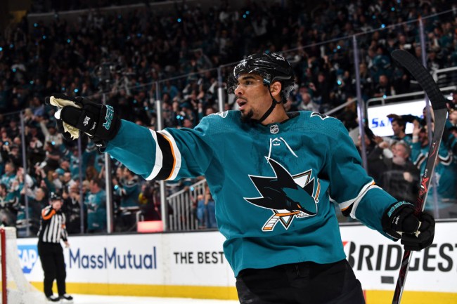 evander kane nhl Hockey Diversity Alliance