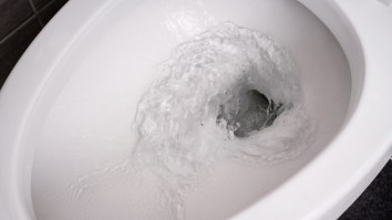 A Study Says Flushing A Toilet Creates Tiny Poop Droplets That Could Spread COVID-19 As If We Didn’t Have Enough Problems Already