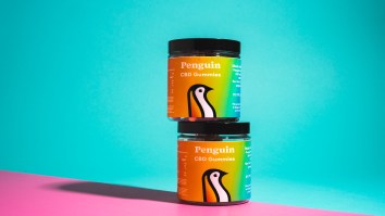 Penguin CBD Review: How Their Gummies, Oils And CBD Cream Helped Me Become My Best Self
