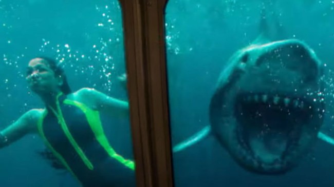 scariest movie sharks ranked