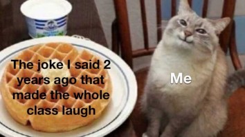 50 Of The Best Damn Photos On The Internet Today