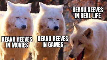 50 Of The Best Damn Photos On The Internet Today