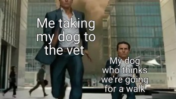 50 Of The Best Damn Photos On The Internet Today