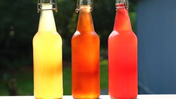 Reviewing The Best Hard Kombucha Brands Of 2021