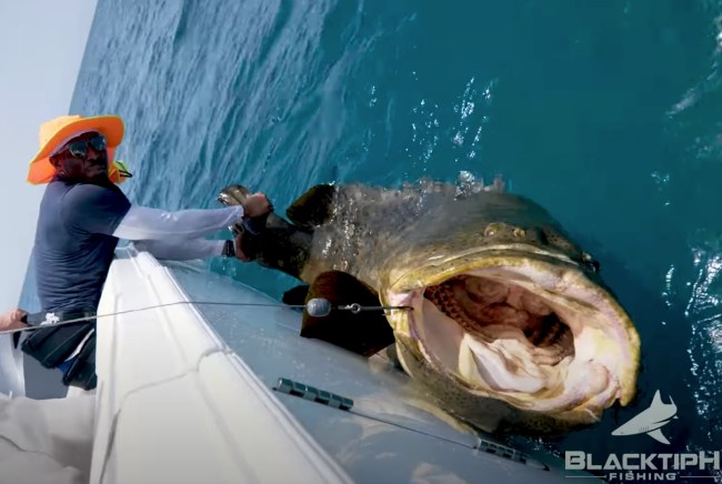 Haha Clinton-Dix Goliath Grouper Fishing