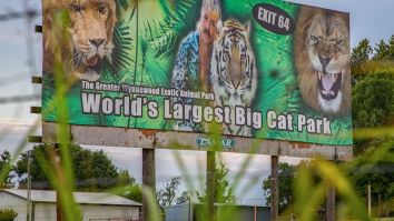 Filming At ‘Tiger King’ Zoo Shut Down After Crew Believes They’ve Found Human Remains