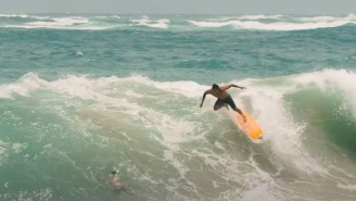 Pro Surfer Koa Rothman Shreds Waves From Hurricane Douglas On A Rocky Hawaiian Shore Break