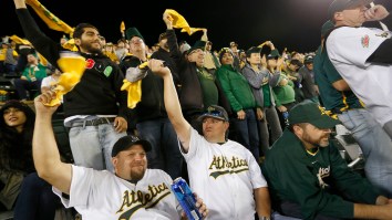 MLB Teams Charging Fans For Cardboard Cutouts Is So Dumb, So Here Are 5 Random Cutouts We’d Use To Troll Them