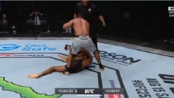 UFC Referee Herb Dean Gets Blasted By Social Media After Not Stopping Fight Following Obvious KO