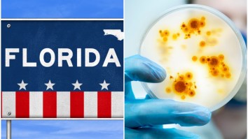 Florida Clinic Confirms Major Errors In Positive Test Numbers, Others Reporting Questionable 100 Percent Positivity Rate