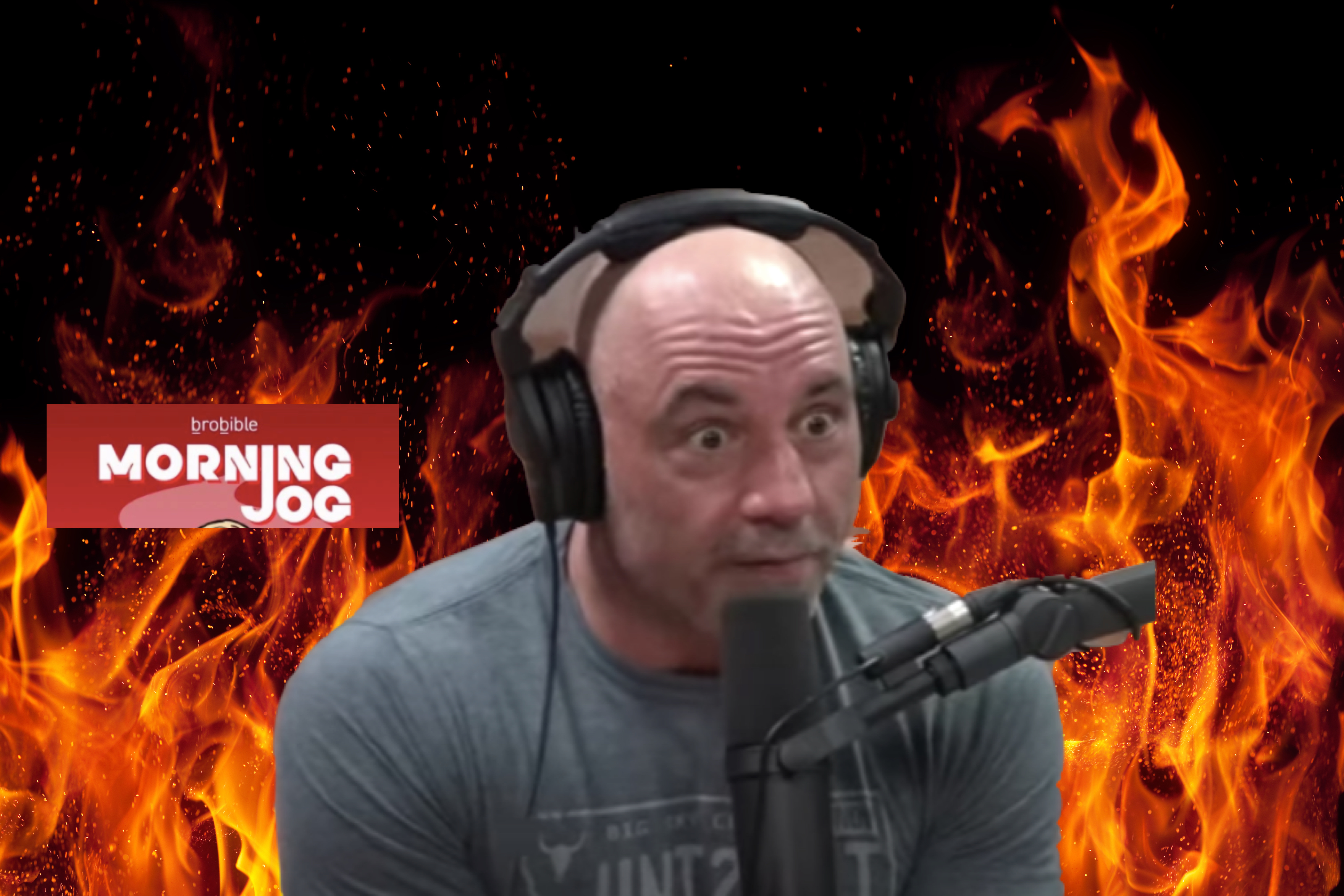 Joe rogan podcast в hamster combat. Joe Rogan Fear Factor. Джо Роган Мем. Joe Rogan Dog Statue.