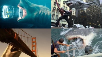 Which Of The Most Fearsome Sharks In Movie History Would Win In A Battle Royale?