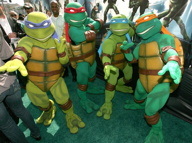 Teenage Mutant Ninja Turtles seth rogen