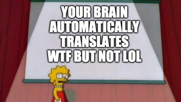 50 Of The Best Damn Photos On The Internet Today