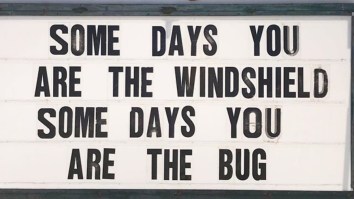 50 Of The Best Damn Photos On The Internet Today