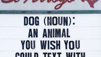 50 Of The Best Damn Photos On The Internet Today