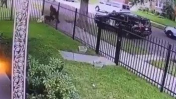Watch A Detroit Cop Fatally Shoot A Dog Through A Fence For Biting The Nose Of A K9 Officer