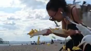 Woman Holding French Fries Learns The Hard Way That Seagulls Are Absolute Savages