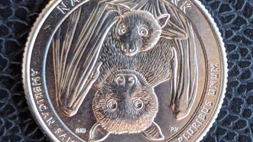 Why Are There Bats On The New Quarter? Conspiracy Theorists Think The Government Plot Against Society? 