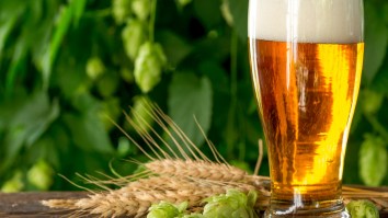 Climate Change Could Alter The Taste Of Your Favorite Beer If You Somehow Need Another Reason To Be Concerned