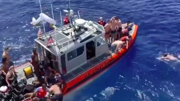 Wild Video Shows The Coast Guard Opening Fire On A Shark After It Approach Crew Members Swimming In The Pacific Ocean