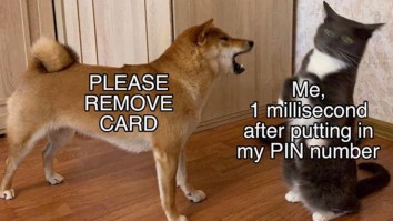 50 Of The Best Damn Photos On The Internet Today