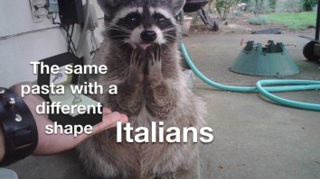 50 Of The Best Damn Photos On The Internet Today