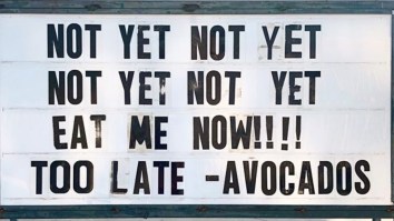 50 Of The Best Damn Photos On The Internet Today