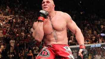 Former UFC Champion Calls Brock Lesnar’s MMA Career A ‘Fraud’ And Challenges Him To Bare Knuckle Fight