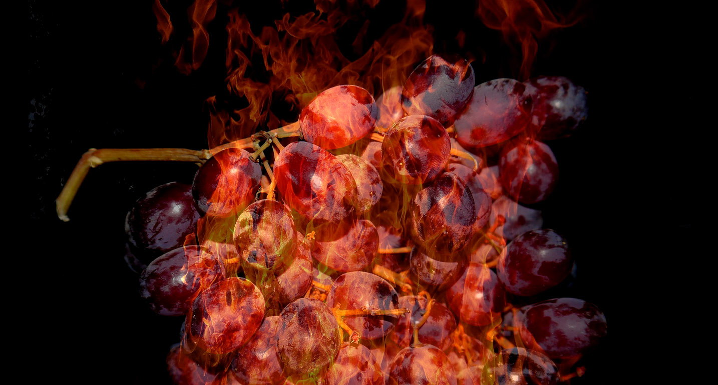 Did You Know Grapes Burst Into Flames, Spit Plasma If Cooked In The