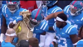 Forget The Turnover Chain, Ole Miss Celebrates Interception With Money Bag On Sideline