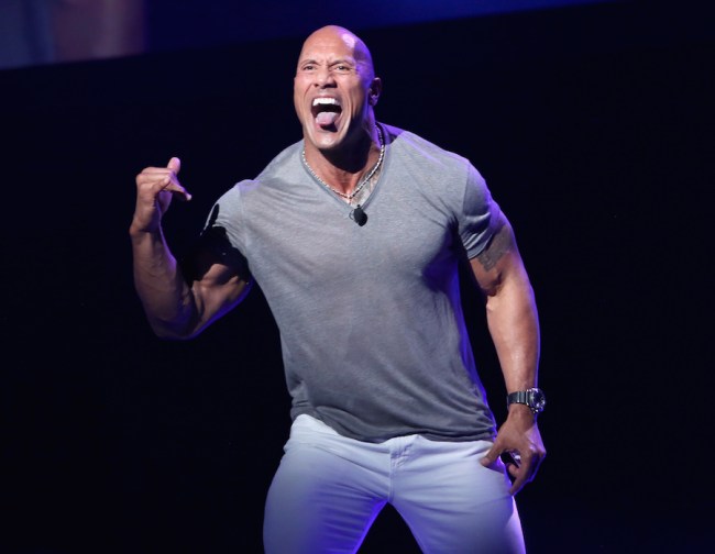 The Rock Rips Electric Gate