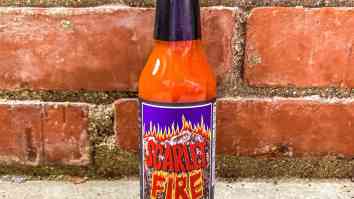 Scarlet Fire Hot Sauce Review – The Ultimate Hot Sauce For Jam Band Fans