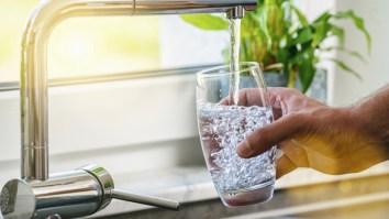 Texas Residents Warned Not To Drink Tap Water After Brain-Eating Microbe Found In Water Supply