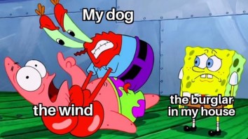 50 Of The Best Damn Photos On The Internet Today