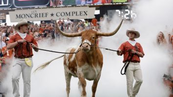Photographer Suing Owners Of Texas’ Live Mascot ‘Bevo’ Claiming The Longhorn Rammed Him Twice