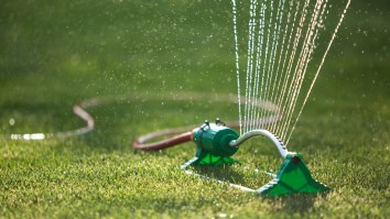 Texas Lady Subdued With Garden Sprinkler After Screaming ‘White Lives Matter’